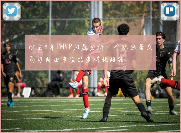 过去8年FMVP归属分析：母队选秀交易与自由市场的多样化路径