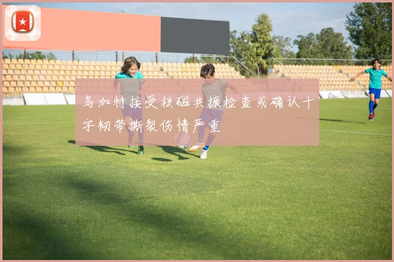 乌加特接受核磁共振检查或确认十字韧带撕裂伤情严重