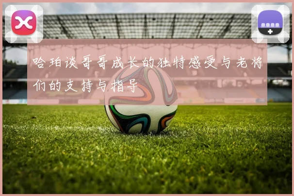 哈珀谈哥哥成长的独特感受与老将们的支持与指导